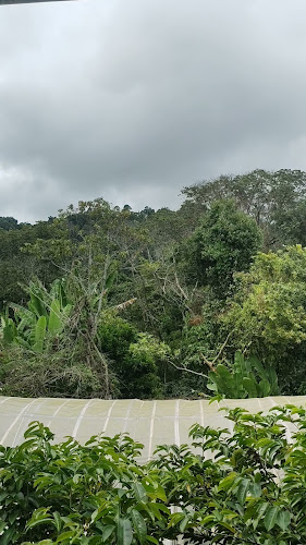 Activa Cafe - Gastronomía y hostelería