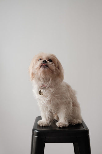 Restaurante Los Tres Ajies - Gastronomía y hostelería