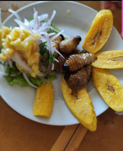 Selva y Norte - Piura