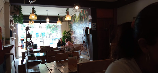 Comentarii opinii despre Ukaw Chocolate Fino Amazónico