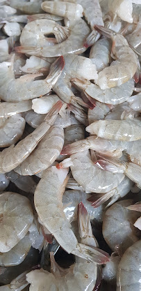 Tatsumi Productos hidrobiologicos