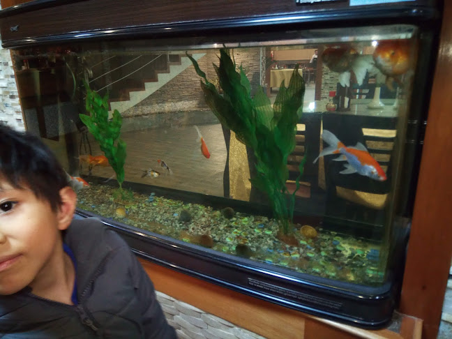 Opinii despre Chifa AMERICA SUR în Sunampe - Gastronomía y hostelería