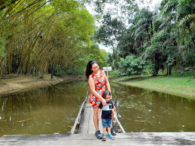 Comentarii opinii despre Nauta Loreto