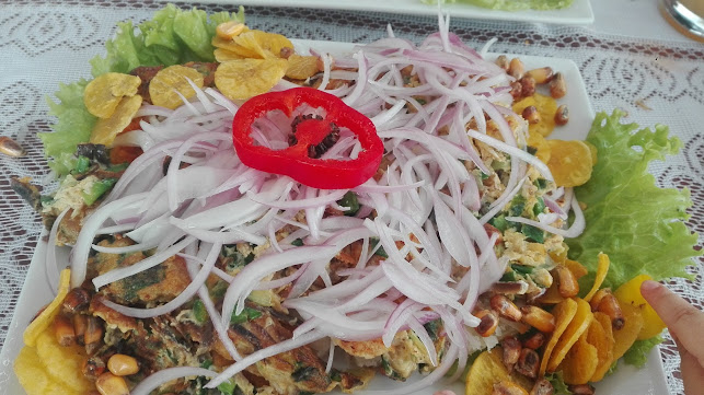 Mr. Wil Campestre - Monsefú