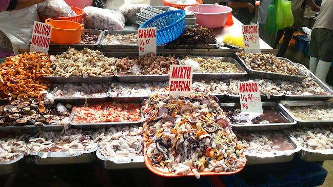 Terminal Pesquero VMT