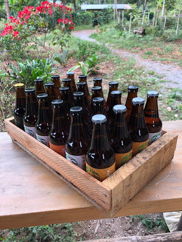 Carretera a Oxapampa, Via El Abra Villa Rica, 19301