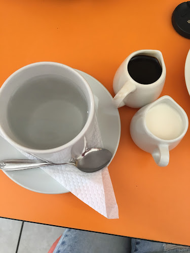 Comentarii opinii despre PastyPan