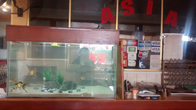 Comentarii opinii despre Chifa Asia