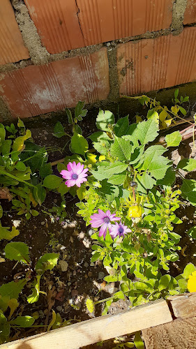 QUINTA CAMPESTRE ACKLLUYO - Gastronomía y hostelería