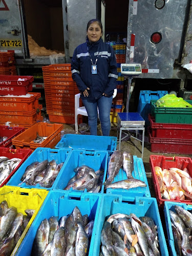 Terminal Pesquero Piura