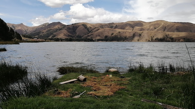Recreo Campestre "El Toro De Oro" - Paca