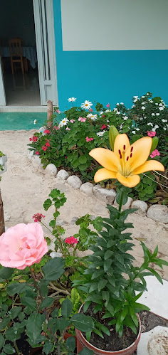 Opinii despre Recreo campestre "El Abuelo" în Anguía - Gastronomía y hostelería