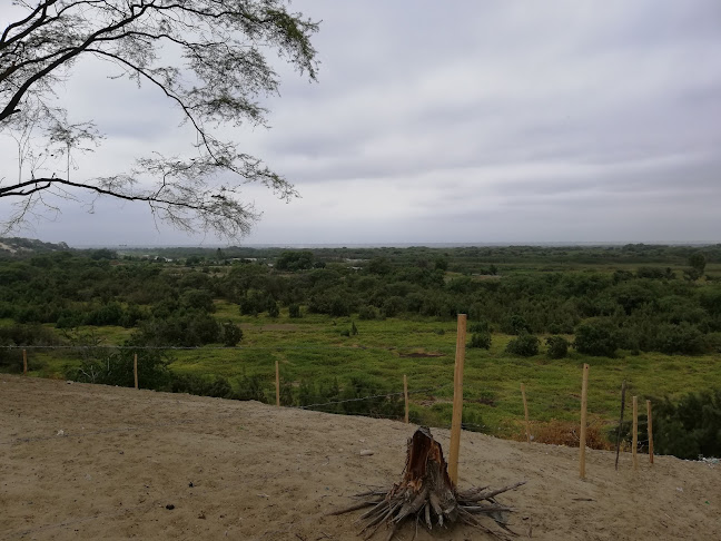 Opinii despre Mirador Los Ejidos Curumuy în Piura - Gastronomía y hostelería