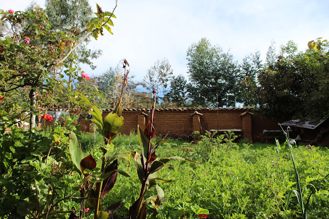 Restobar El Mirador - Gastronomía y hostelería