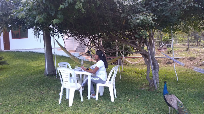 Comentarii opinii despre Villa Alcafé