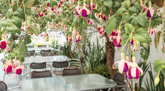 Orillas Cevicheria Criolla - Cercado de Arequipa