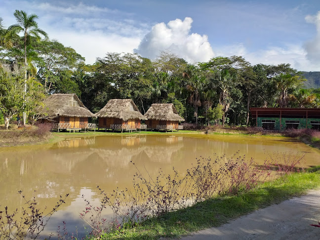 Restaurante Milan Moyobamba - Gastronomía y hostelería
