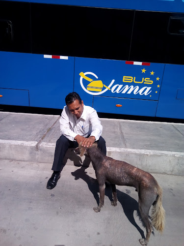 El rancho de Bruno - Gastronomía y hostelería