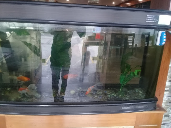 Chifa AMERICA SUR - Sunampe