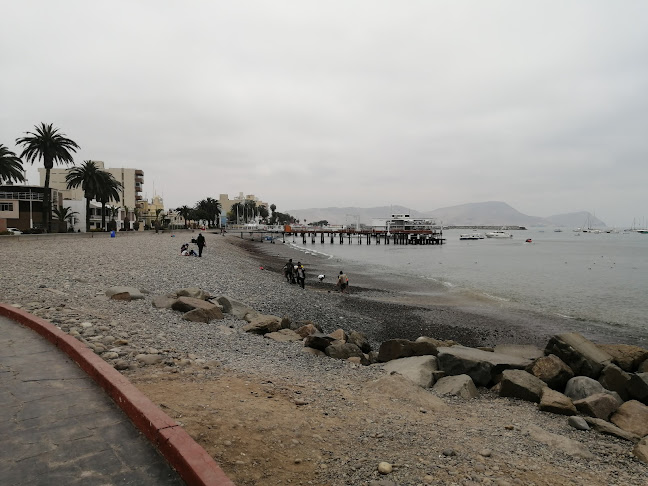 La Flor De La Punta - La Punta