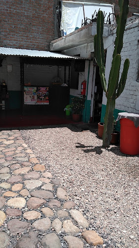 Hipocampo de oro - Ayacucho