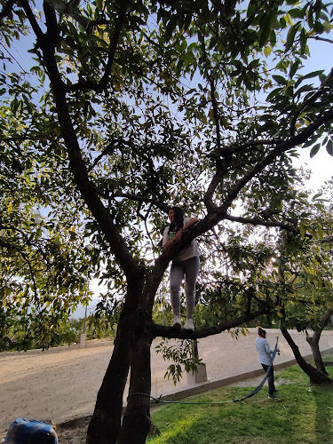 Comentarii opinii despre Recreo Mamá Juanita