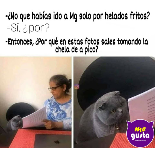 Colon 447, Huacho 15136