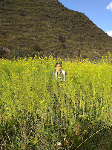 Comentarii opinii despre Chacabamba Park Restaurant (Truchas)