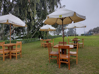 LOMAS DELPINO RESTAURANTE CAMPESTRE