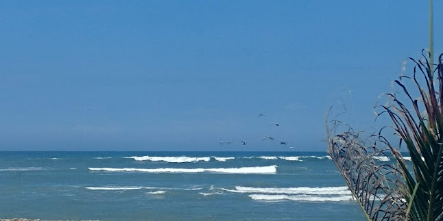 Comentarii opinii despre Restaurant Bar - Rio Mar