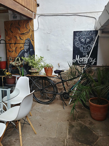 Comentarii opinii despre Monkey Coffee Cusco Coworking