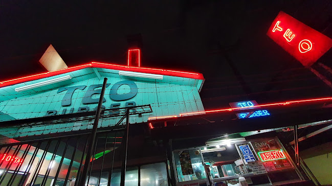 Comentarii opinii despre Teo Burger