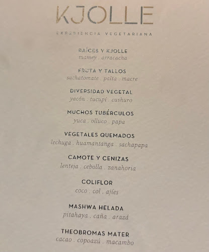 Comentarii opinii despre Kjolle