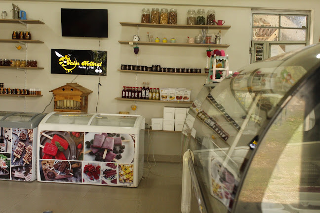 Valor Natural berries y miel - Concepción