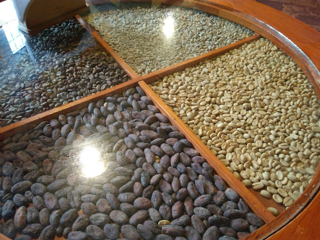 Cafetería Oro Verde - Gastronomía y hostelería