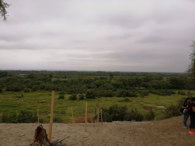 Comentarii opinii despre Mirador Los Ejidos Curumuy