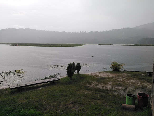 Comentarii opinii despre Oconal