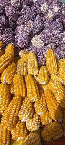 Opinii despre PACHAMAMA HOSPEDAJE & RESTAURANT Pitumarca în Pitumarca - Gastronomía y hostelería