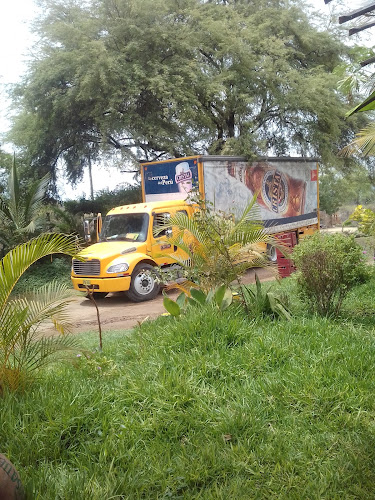 Comentarii opinii despre Restaurant Turistico El Bosque