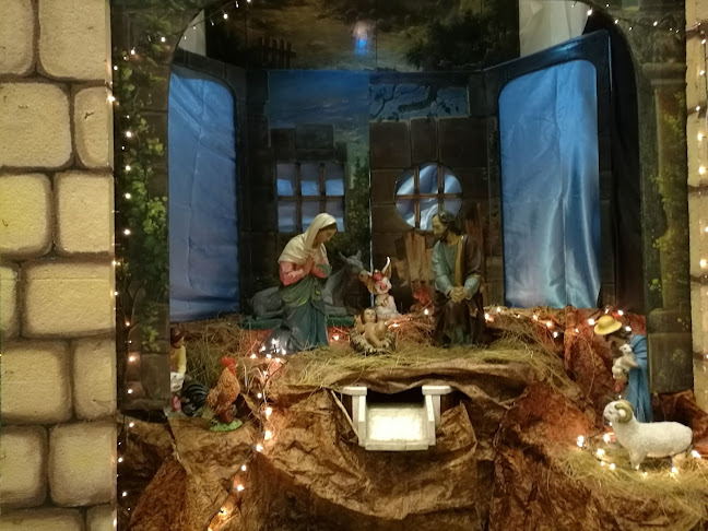 Comentarii opinii despre Pizza DOMIS