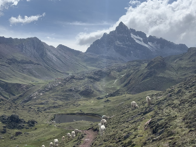 Comentarii opinii despre PACHAMAMA HOSPEDAJE & RESTAURANT Pitumarca