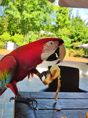 Carr. Marginal Sur, 22400