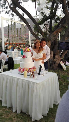 Fray Angélico 208, San Borja 15037