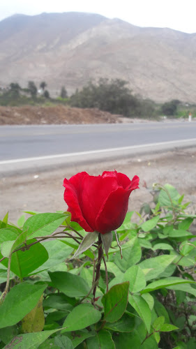 Av. Granados, Calango