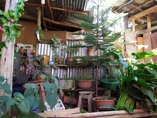 Comentarii opinii despre La Choza - Restaurant