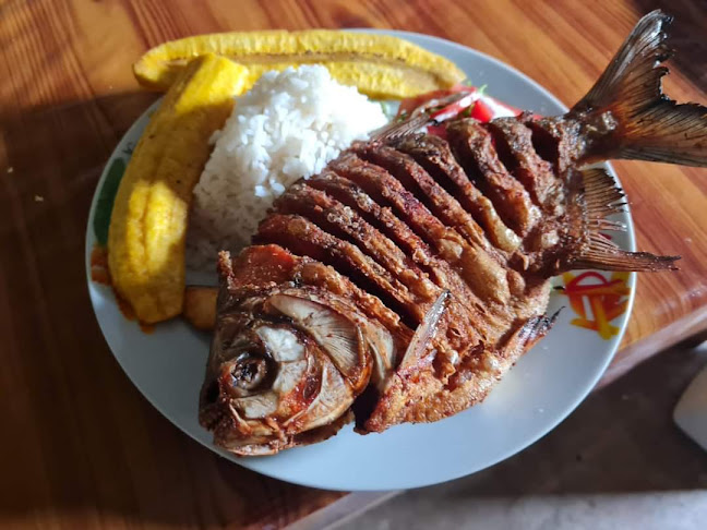 Opinii despre Crt punto cero în Puerto Maldonado - Gastronomía y hostelería