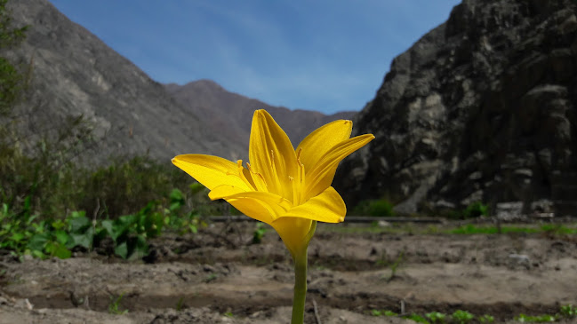 DK & J Diseño y Edicion - Gastronomía y hostelería