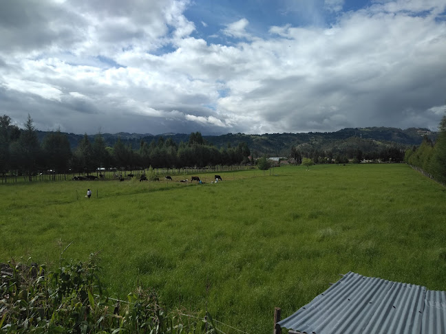 VG38+H8C, Unnamed Road, Cajamarca, Cajamarca