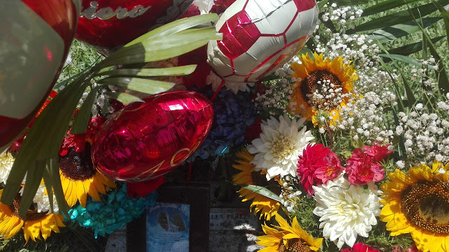 Don Roberto - Callao