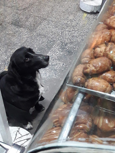 Panadería Javier's - La Victoria